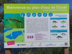 Plan d'eau de Cluzel