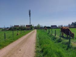 Les Gouttes