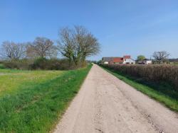 Piste roulante