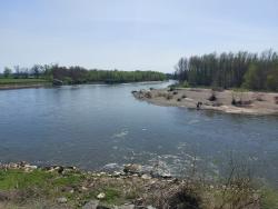 Coude de l'Allier