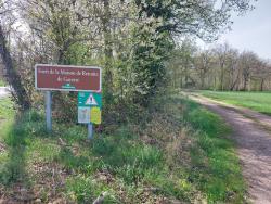 Forêt de la Maison de Retraite de Gayette