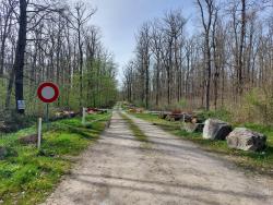 Entrée Forêt des Mouzières
