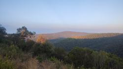 Vue sur Gassin