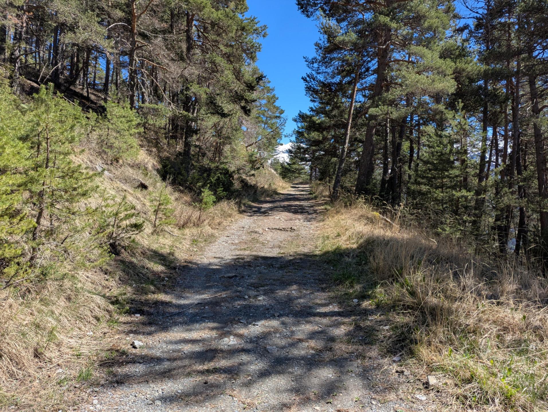 Barcelonnette - Bonnet Vert