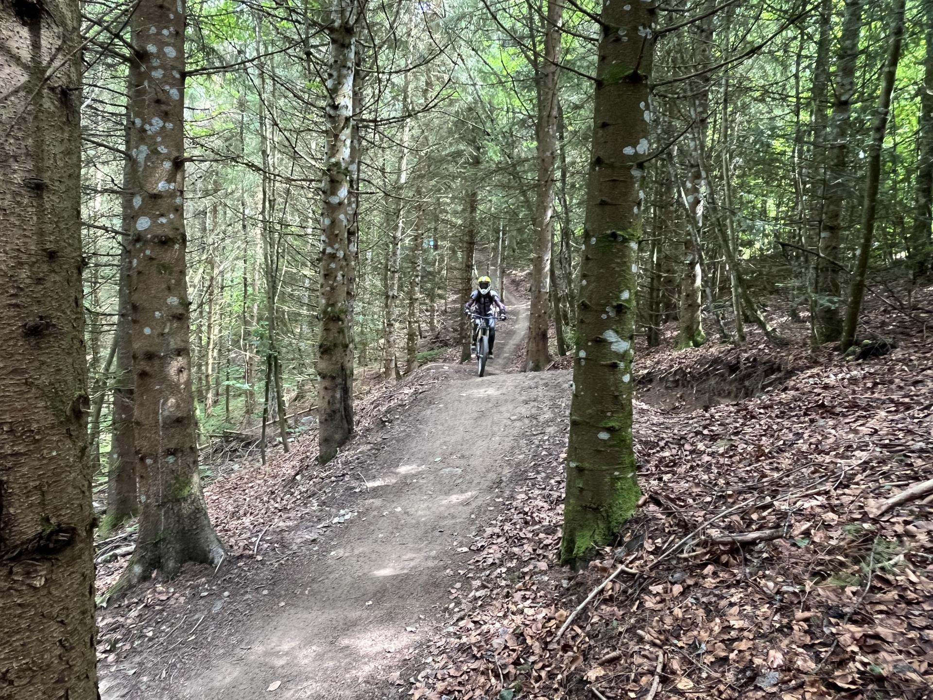 Piste verte du bike-park à Habère-Poche
