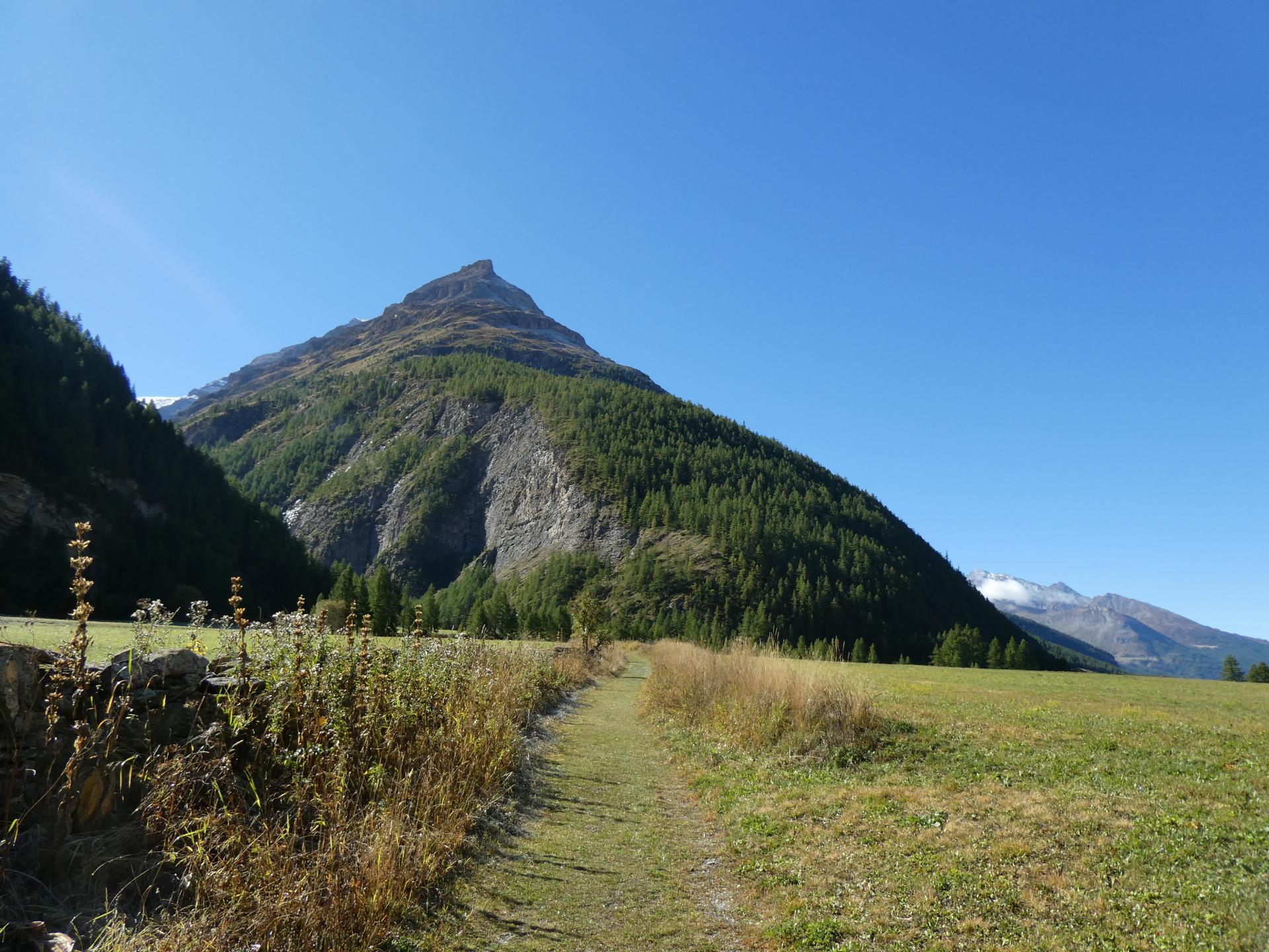 Fond du vallon du Ribon (2200 m)