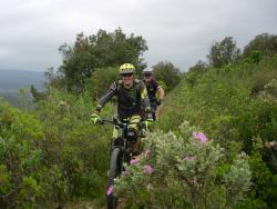 VTT-43523