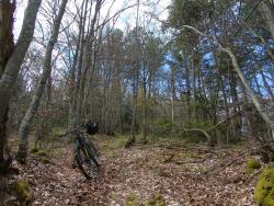 VTT-43557