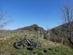 VTT-43564