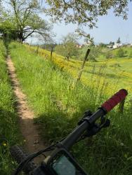 VTT-43668