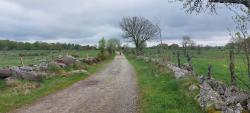 Chemin roulant
