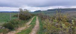 Paysage des Monts d'Aubrac