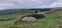 Paysage des Monts d'Aubrac