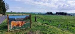 Paysage des Monts d'Aubrac