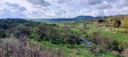 Ruisseau Le Bès