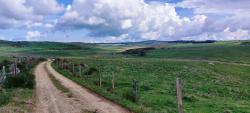 Paysage des Monts d'Aubrac