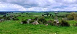 Paysage des Monts d'Aubrac