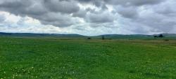 Paysage des Monts d'Aubrac