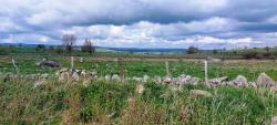 Paysage des Monts d'Aubrac