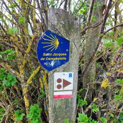 Balises VTT-FFC N° 8 Malbouzon et Saint Jacques de Compostelle