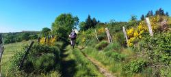 VTTistes, en direction de la Croix du Lac
