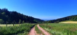Paysages des Monts de la Madeleine