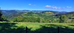 Paysages des Monts de la Madeleine et genêts