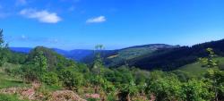 Vallée du Rouchain