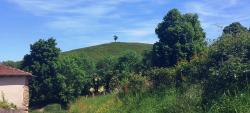 Montolivet, arbre isolé sur mamelon, insolite