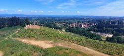Vue sur le clocher de Saint André d'Apchon et le vignoble de la Côte Roannaise 