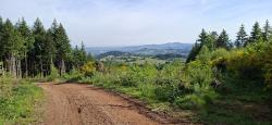 Paysage