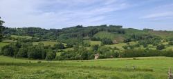 Paysage