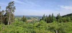 Paysage