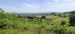 Paysage