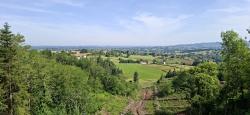 Paysage