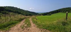 Piste roulante