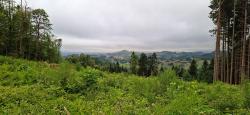 Paysage