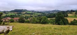 Paysage