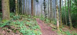 Très joli chemin