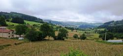 Paysage