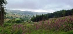 Paysage