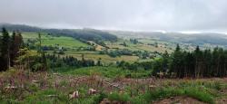 Paysage