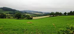 Paysage