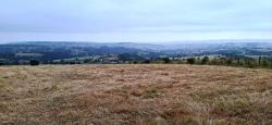 Paysage