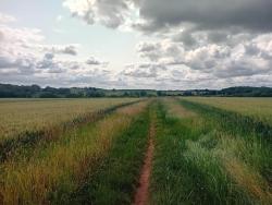 Plateau Briard