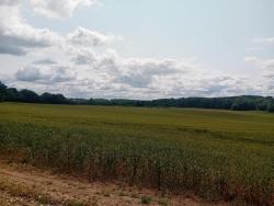 Plateau Briard