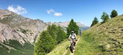 Single panoramique