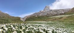 Vers le col Vieux