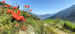 Mont Viso