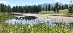 Lac de Roue